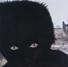 a person with yellow eyes and black fur on their head is staring at the camera