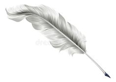 a white feather quill on a white background royalty images and clippings for adobe