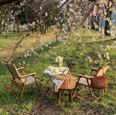 two chairs and a table in the grass under some trees with flowers on them,