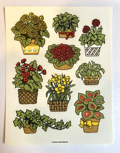 a bunch of potted plants on a white surface