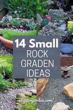 small rock garden ideas with text overlay