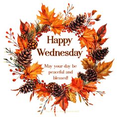 a happy wednesday card with autumn leaves and pine cones