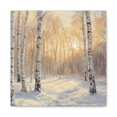 a painting of trees in the snow with sun shining through them and white leaves on the ground