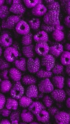 purple raspberries are shown in this close up photo