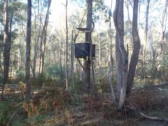 there is a tree house in the middle of the woods with no leaves on it