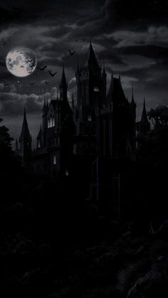 an image of a castle at night with the moon in the sky and bats flying over it