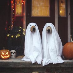 two dogs in ghost costumes sitting on the steps