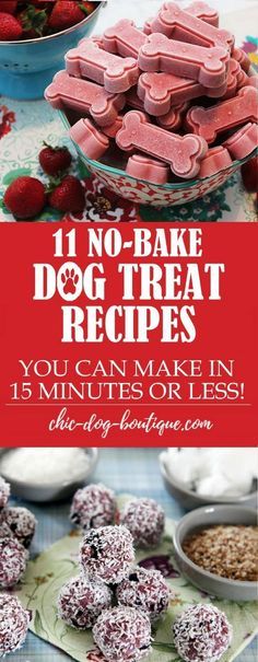 the cover of 11 no - bake dog treat recipes you can make in 15 minutes or less