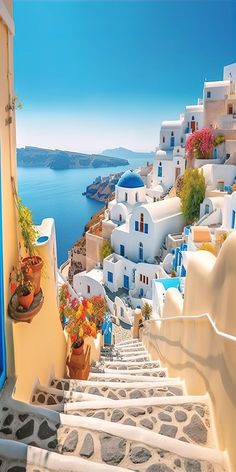 stairs leading up to the water with flowers in pots and potted plants on them