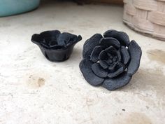 two small black flowers sitting next to each other