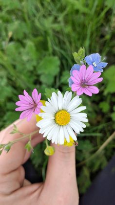 a person holding flowers in their hand with green grass behind them and blue, white and pink flowers on the other side