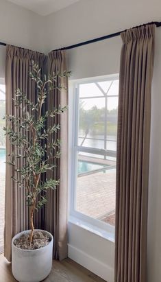 a potted plant sitting in front of a window with curtains on the windowsill