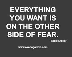 an image with the quote everything you want is on the other side of fear - george add