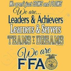 we are the leaders and achievers teams & servers teams and dreams we are fa