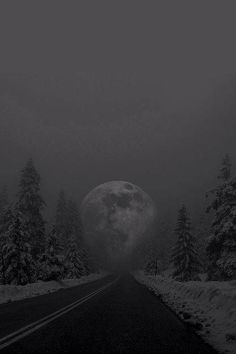 a black and white photo of a road in the snow with trees on both sides