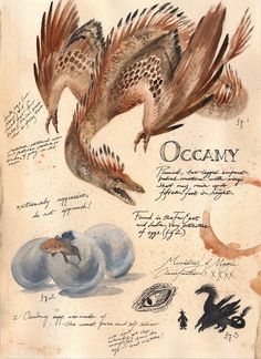 an old book with drawings of birds and other things on it's cover, including the words oceany