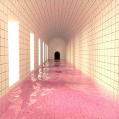 an underground tunnel with pink water in the floor and white tiles on the walls, leading to a black door