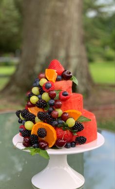 a cake decorated with fruit on top of a glass table in front of a tree