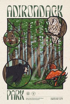 an advertisement for the park featuring animals and mushrooms in the woods with trees, grass, and leaves