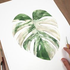 a painting of a monster's leaf with green and white leaves in the shape of a heart