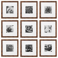 nine black and white photographs in wooden frames