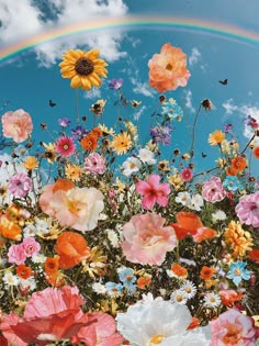 a rainbow in the sky with flowers and butterflies