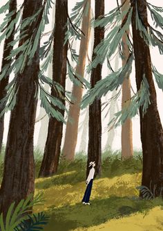 a person standing in the middle of a forest looking up at tall trees and grass