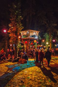 a group of people standing around in the woods at night