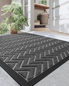 a black mat on the ground in front of a house with a potted plant