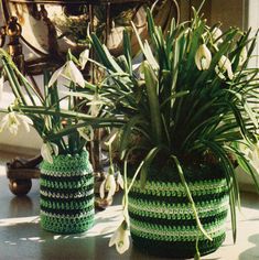 two crocheted vases sitting on top of a table