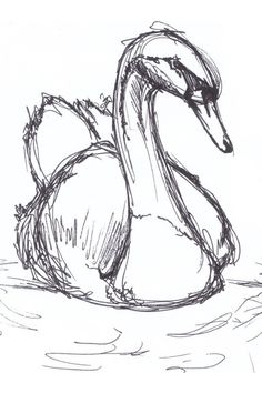 a drawing of a duck in the water