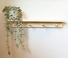 a wooden shelf with two hooks and a plant hanging from it's side on the wall