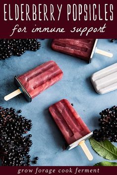 elderberry popsicles for anine support