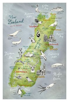 an illustrated map of new zealand with all the major cities and their names on it