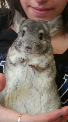 a woman holding a small rodent in her arms and looking at the camera while smiling