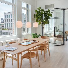 a dining room table surrounded by chairs and a potted plant in the middle of the room