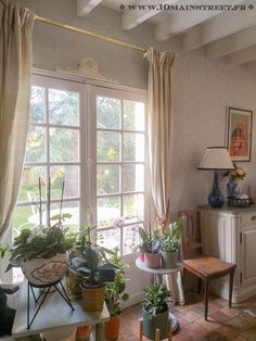 a living room filled with furniture and lots of plants in front of a large window