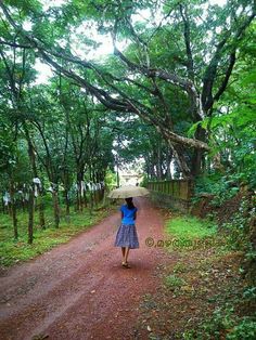 a woman walking down a dirt road with an umbrella over her head in the woods