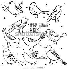 hand drawn birds in black and white