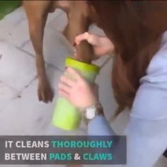 a woman is holding a green cup in front of a brown dog and it's paw