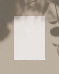 an empty square paper on a table next to a plant with long shadow from it