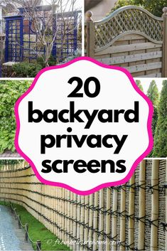 backyard privacy screens with text overlay that reads 20 backyard privacy screens