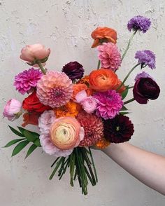 a bouquet of flowers is being held by a person's hand against a white wall