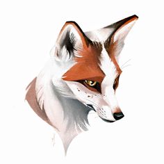 a drawing of a fox's head with orange eyes and white fur, on a white background