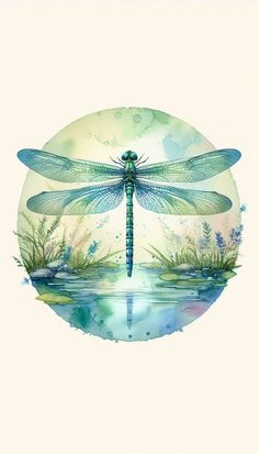 a blue dragonfly sitting on top of a body of water