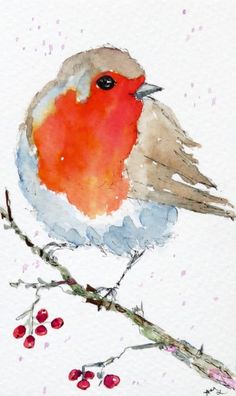 a watercolor painting of a red breasted bird on a tree branch with berries