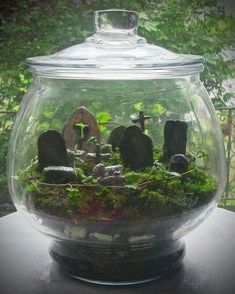 a glass bowl filled with moss and rocks