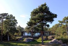 an image of a house in the woods with trees and rocks on the ground below