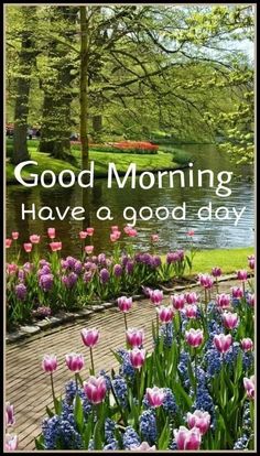 the words good morning have a good day are displayed in front of flowers and trees