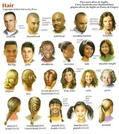 an image of different types of hair for men and women in their 20s's